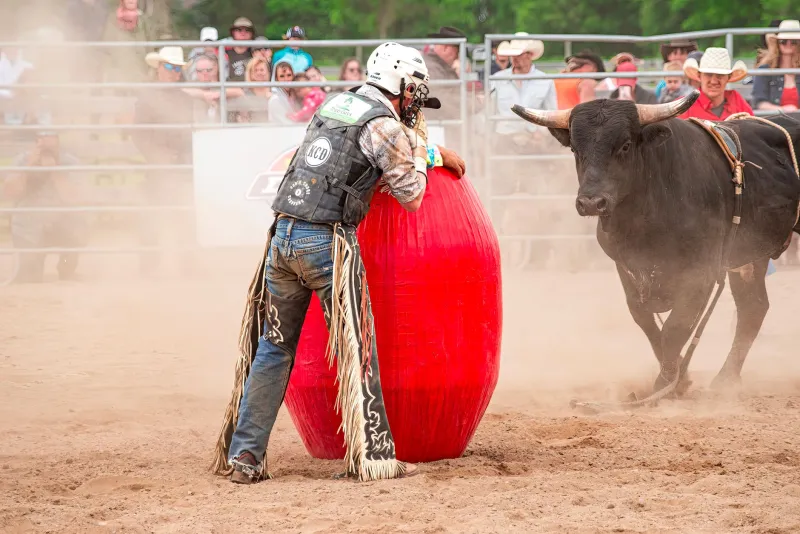 Eight Seconds to Eight Figures: The Rodeo Clown Who Terrified Wall Street