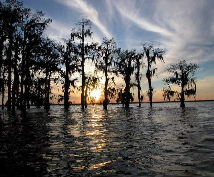 Atchafalaya Basin