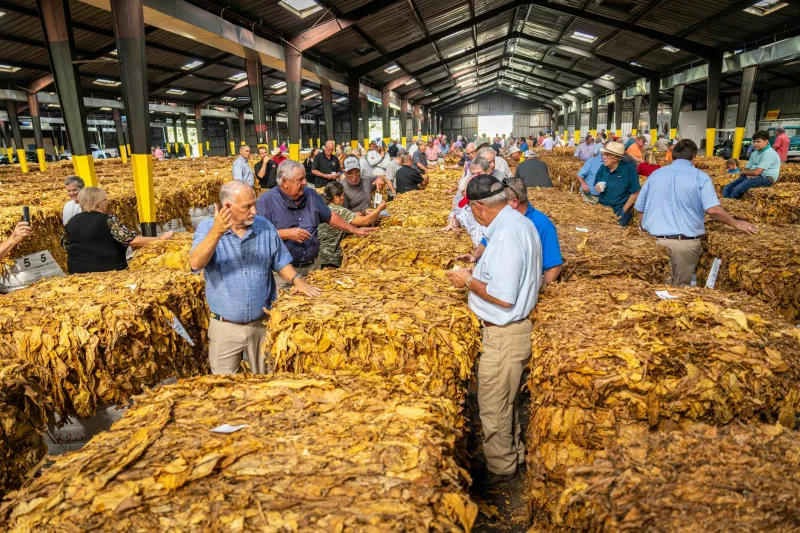 When Darkness Became Vision: The Man Who Changed Horse Racing Forever With His Hands
